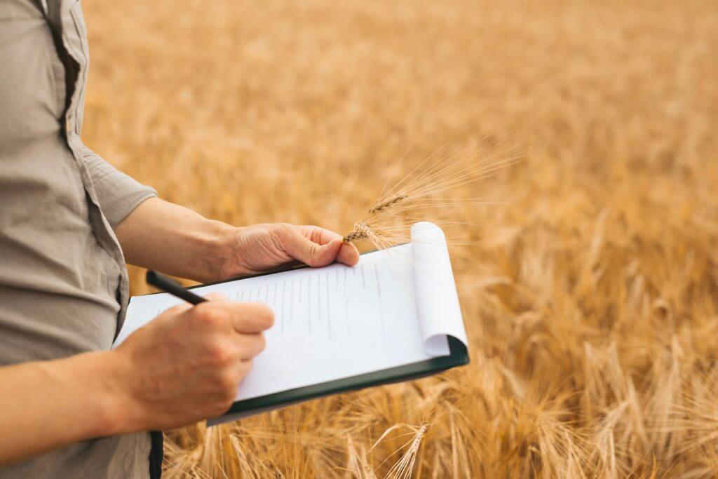 Document signing in a wheat field